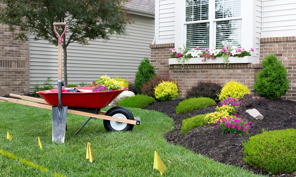 how-to-start-landscaping-landscaping-tips-for-beginners