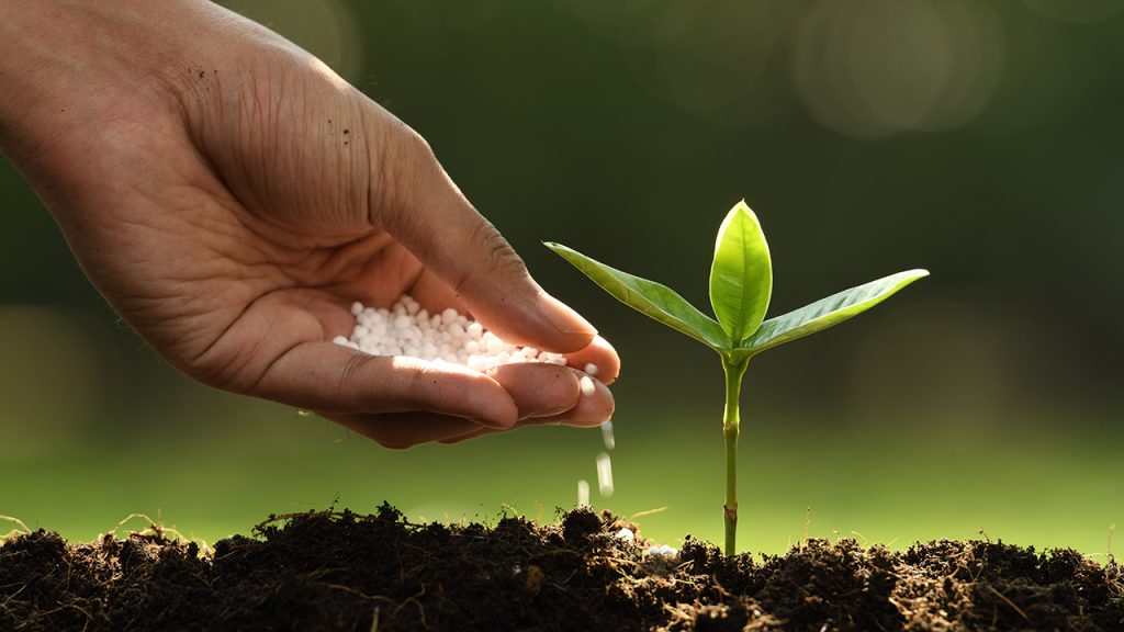 best-quality-fertilizers