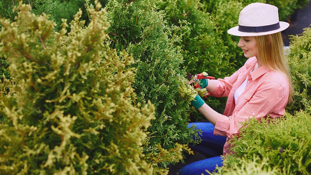 gardening-tips-every-gardener-sshould-know