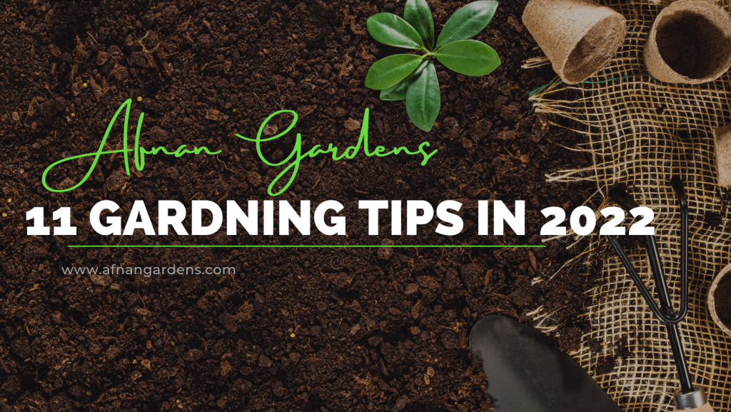 11-gardening-ideas-you-must