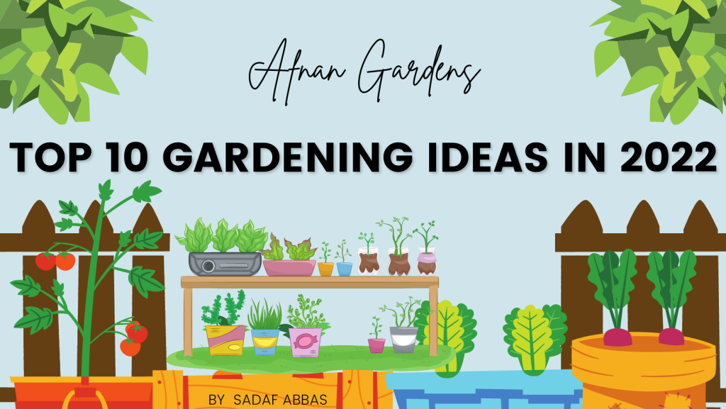 top-10-gardening-designs-in 2022