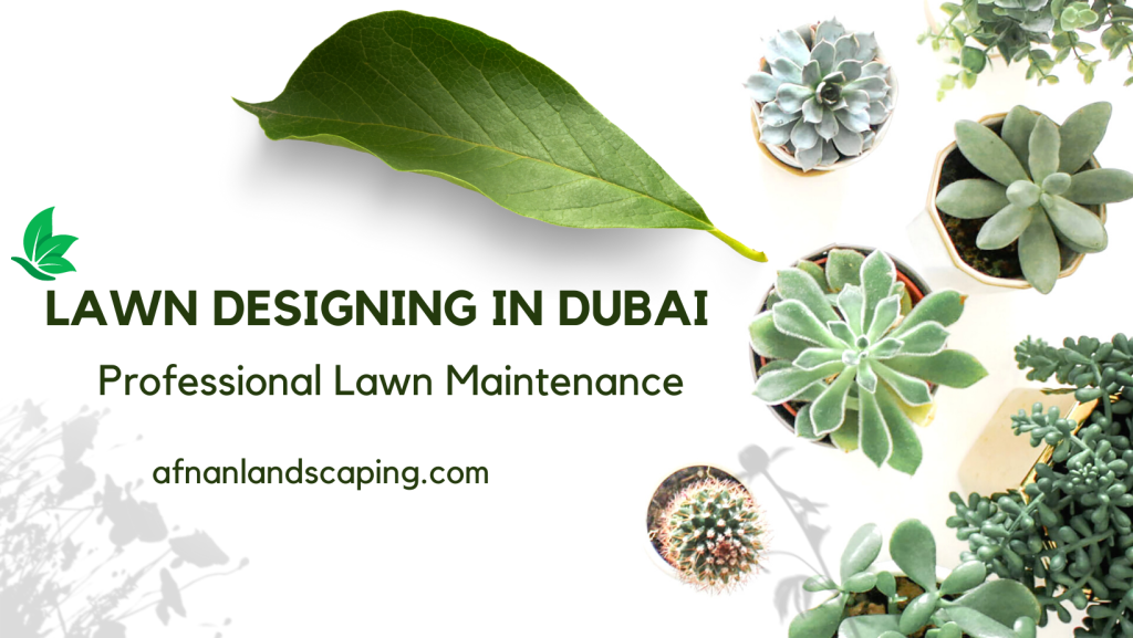 lawn-designing-iin-dubai