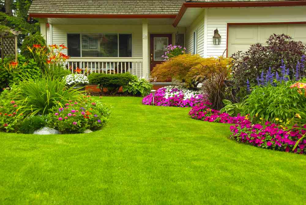 landscaping-for-curb-appeal