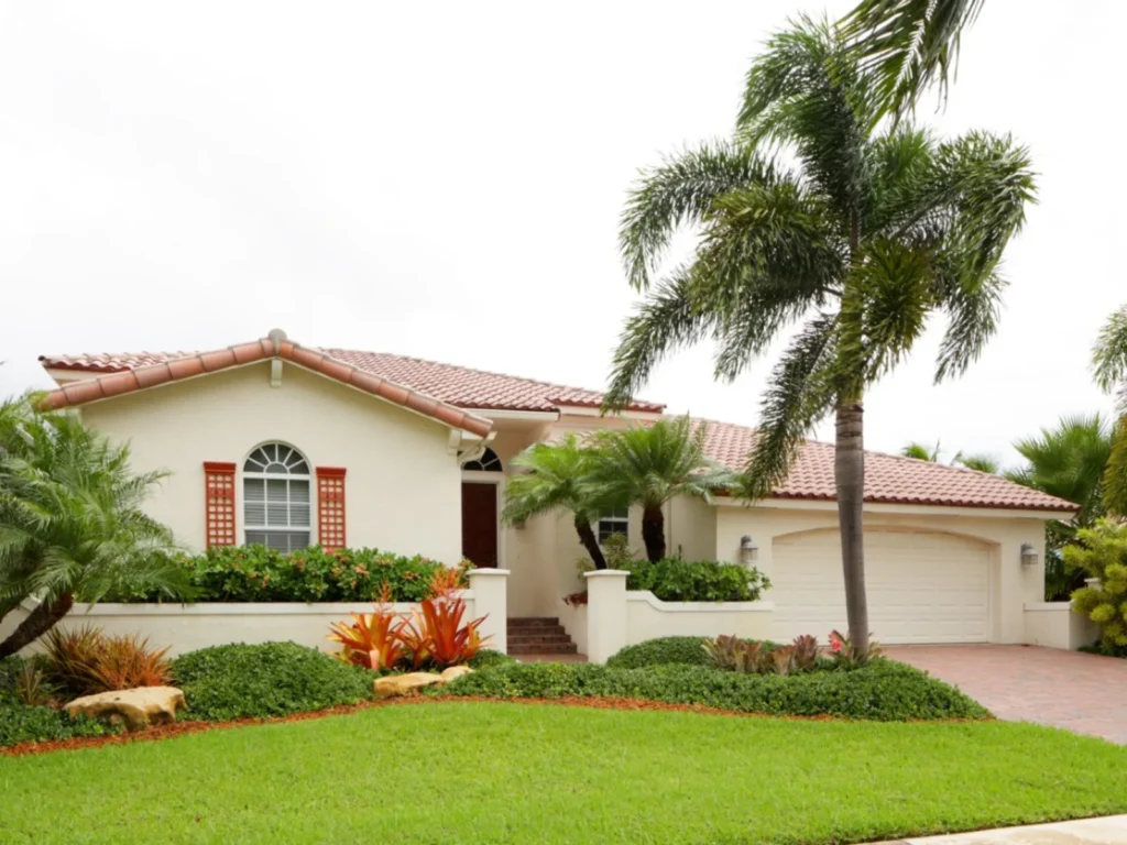 Palm Trees At Home