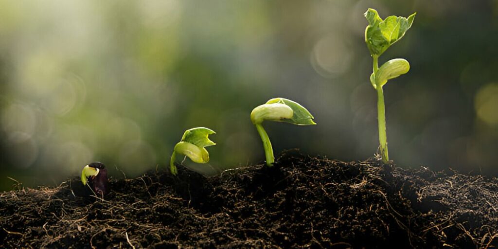3. Promotes Nutrient Cycling