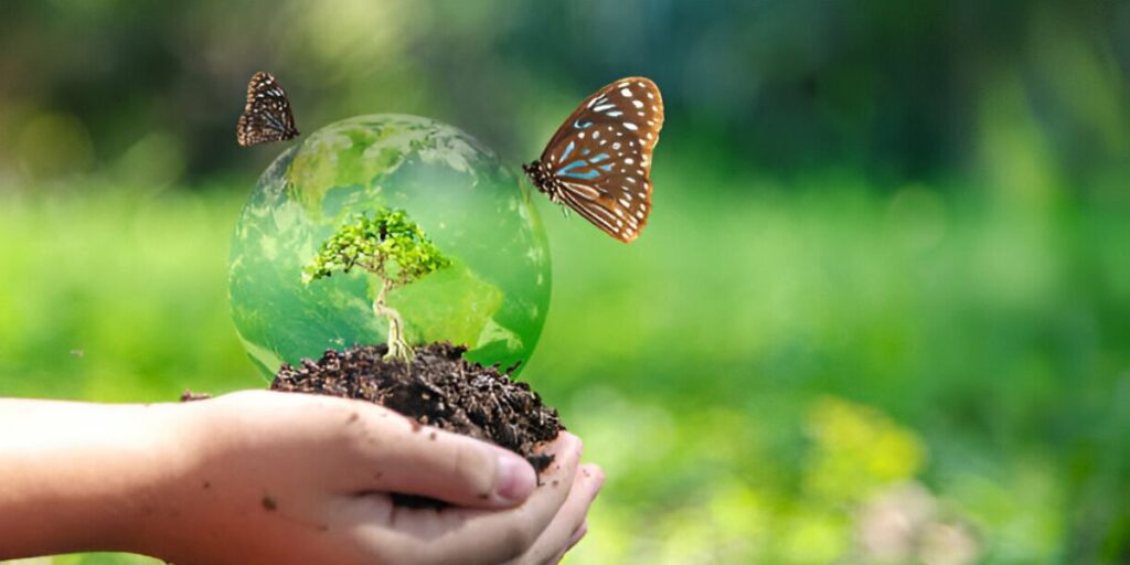 Enhances Biodiversity