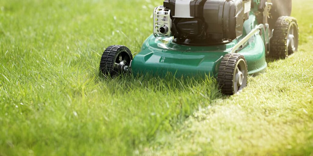 Tips for Proper Mowing