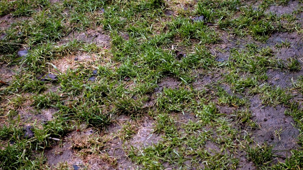 Protect your garden after rain