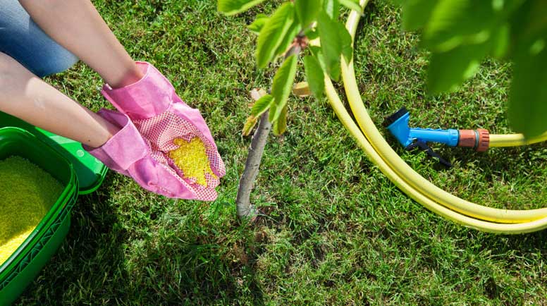 Benefits of using fertilizers
