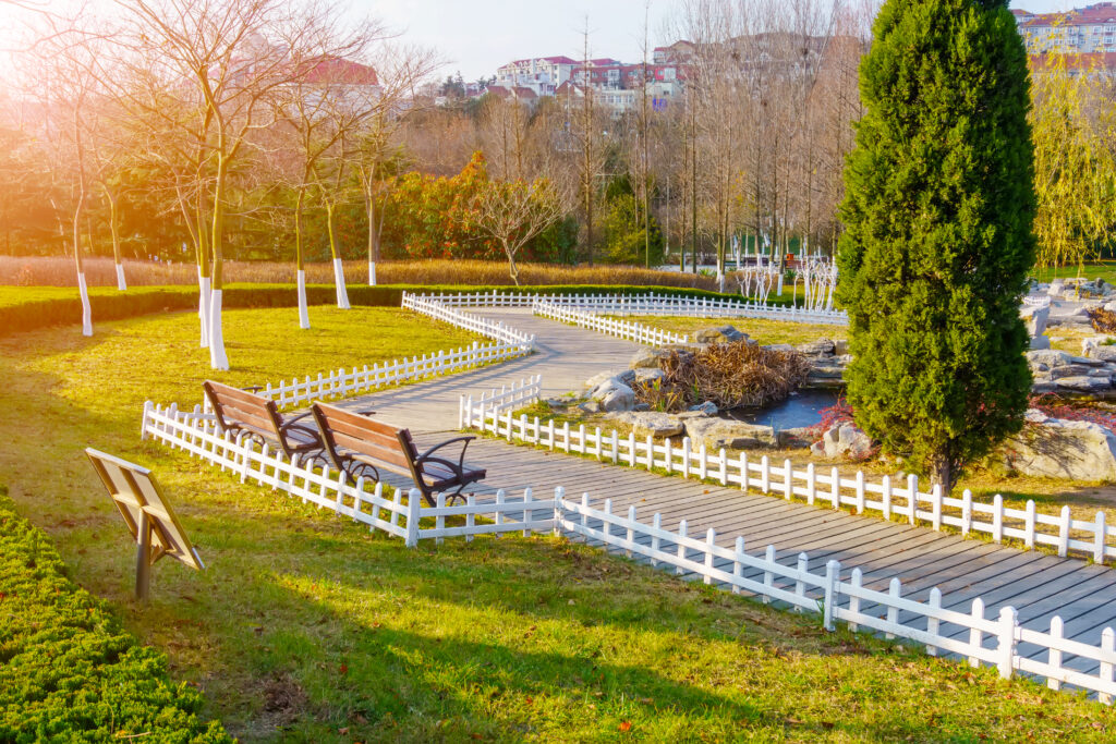 landscape design