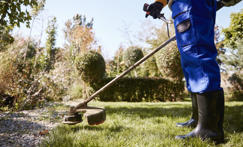 Landscape maintenance doing