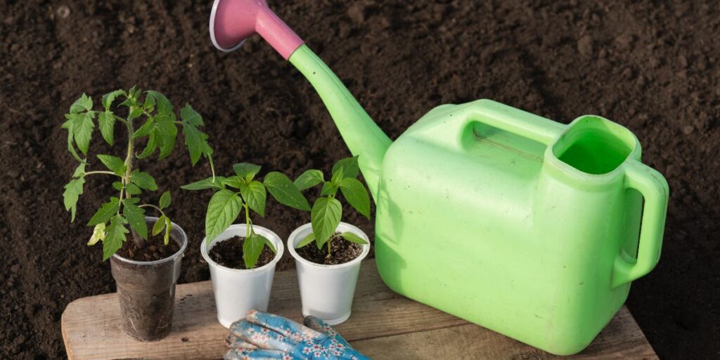Benefits of Organic vs Chemical Fertilizers in Gardens
