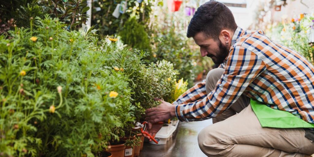 Benefits of Organic vs Chemical Fertilizers in Gardens