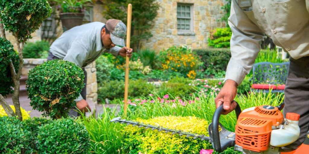 Two gardeners maintaining a lush, colorful residential garden; one uses a hedge trimmer in the foreground