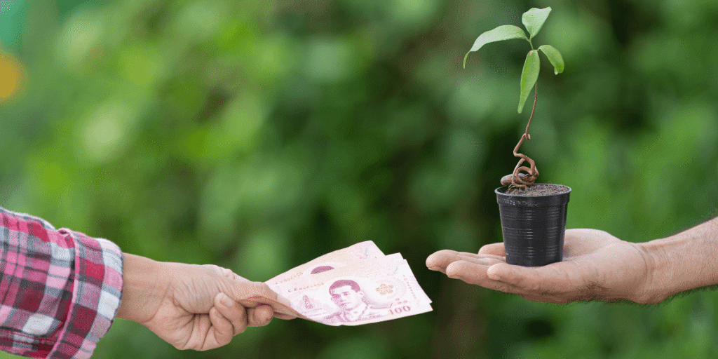 13 Budget-Friendly Landscaping Tips to Save Money