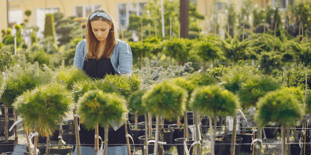7 Landscaping Trends to Say Goodbye to in 2026, According to Experts