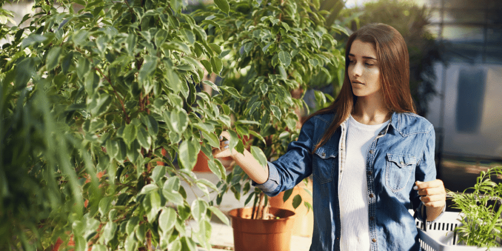 Heat-Tolerant Plants for Hot Summers Best Picks for Your Garden